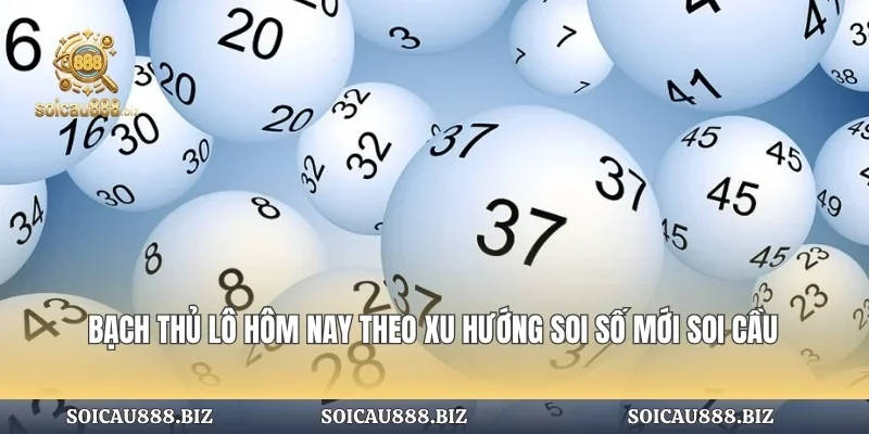 Bạch Thủ Lô Hôm Nay