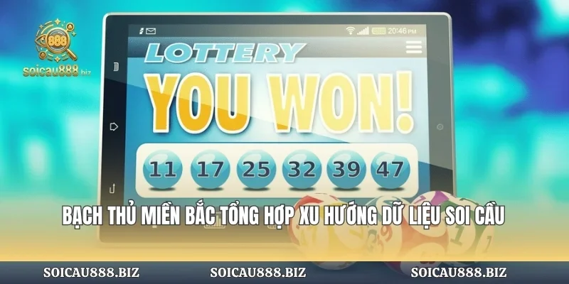 Bạch Thủ Miền Bắc Tổng Hợp