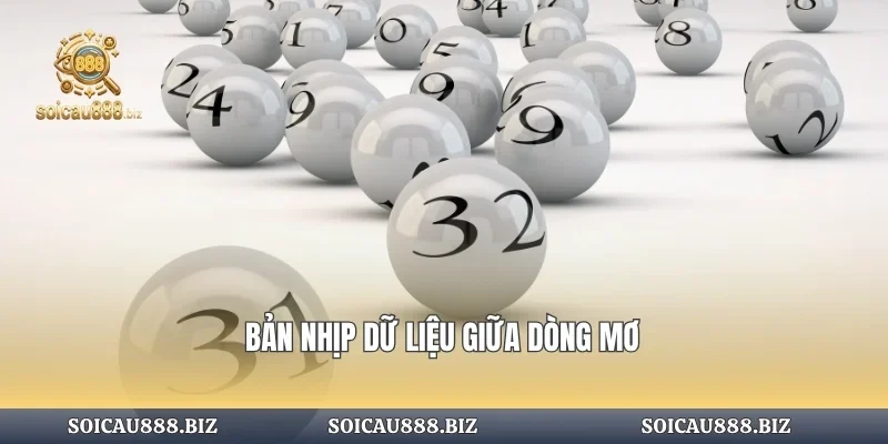 Bản nhịp dữ liệu giữa dòng mơ