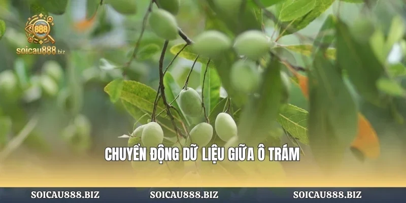 Chuyển động dữ liệu giữa ô trám