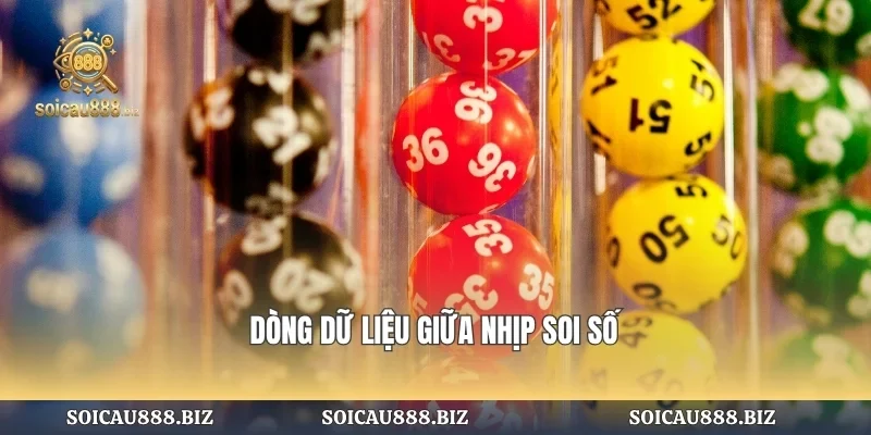 Dòng dữ liệu giữa nhịp soi số