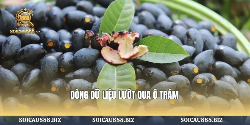 Dòng dữ liệu lướt qua ô trám