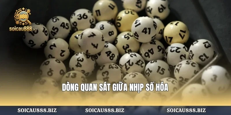 Dòng quan sát giữa nhịp số hóa