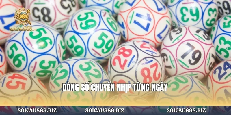 Dòng số chuyển nhịp từng ngày