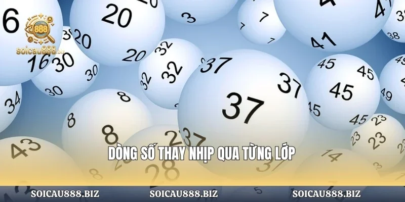 Dòng số thay nhịp qua từng lớp
