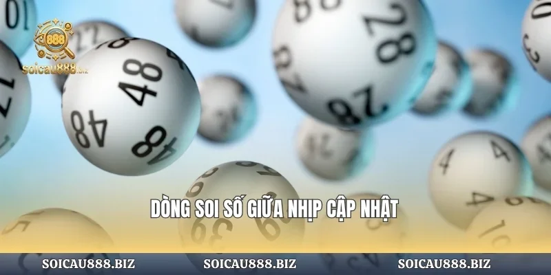Nhịp soi số giữa dòng cập nhật