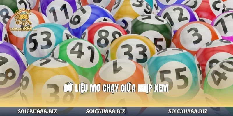 Dòng dữ liệu chuyển theo nhịp xem