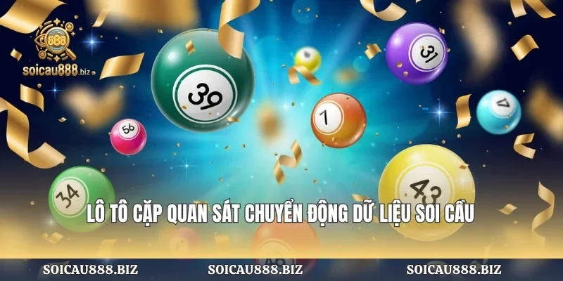 Lô Tô Cặp Quan Sát