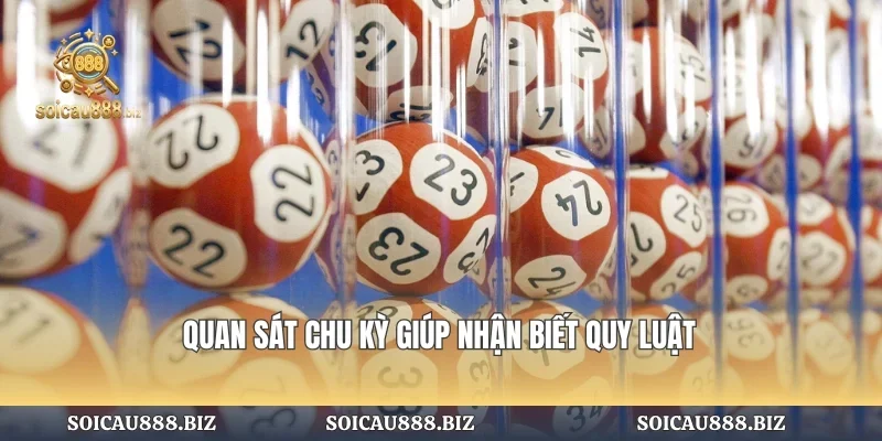 Quan sát chu kỳ giúp nhận biết quy luật