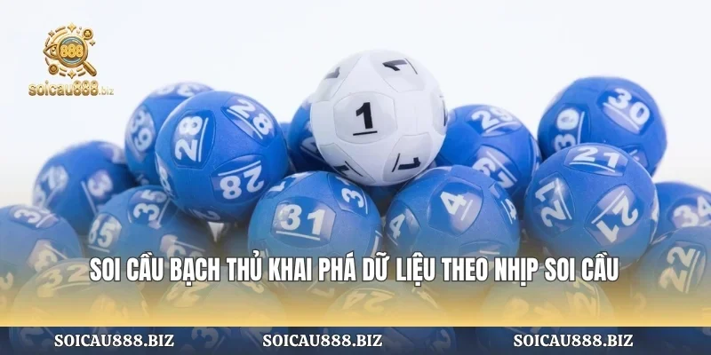 Soi Cầu Bạch Thủ Khai Phá Dữ Liệu