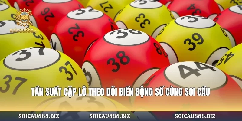 Tần Suất Cặp Lô
