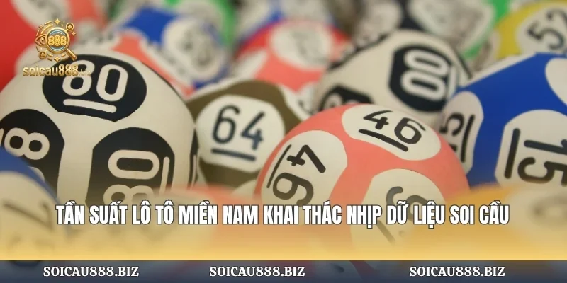 Tần Suất Lô Tô Miền Nam