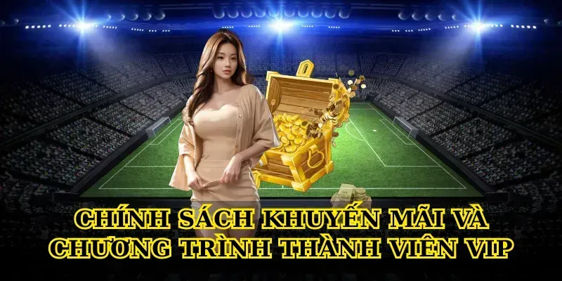 Chính Sách Khuyến Mãi Và Chương Trình Thành Viên VIP