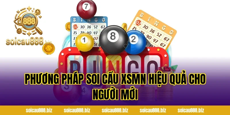 Phương Pháp Soi Cầu XSMN Hiệu Quả Cho Người Mới