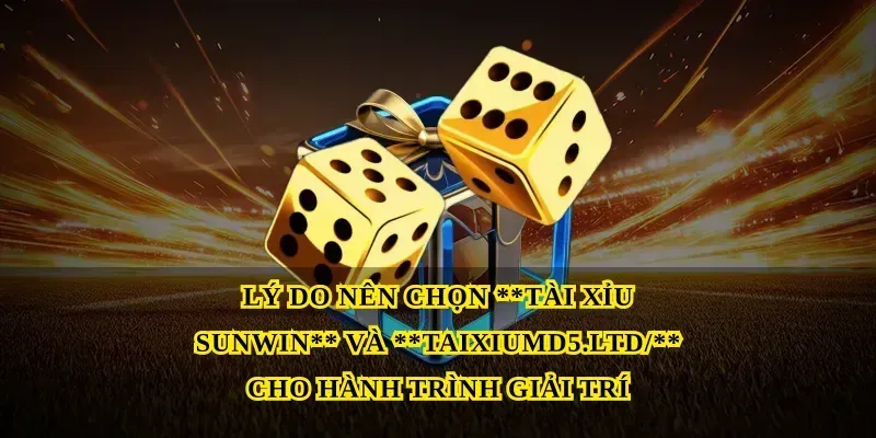Lý do nên chọn Tài xỉu sunwin và Taixiumd5.ltd/ cho hành trình giải trí