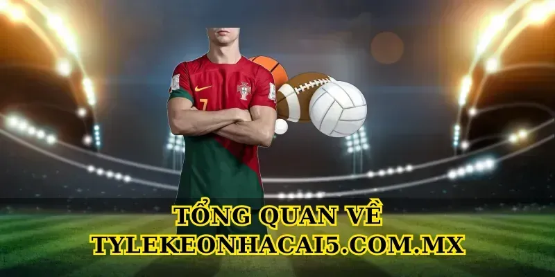 Tổng Quan Về seniorhosting.io